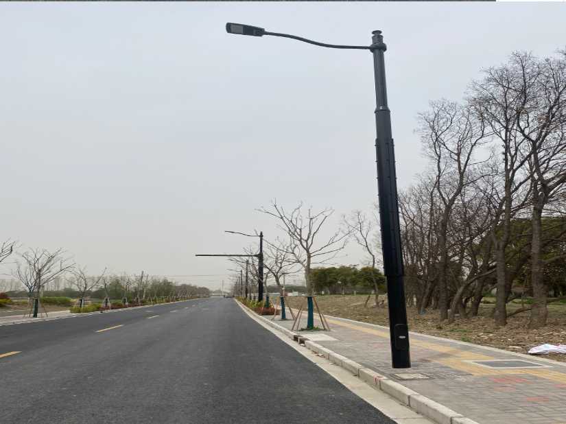 仁布县上海综合杆 太阳能路灯工程